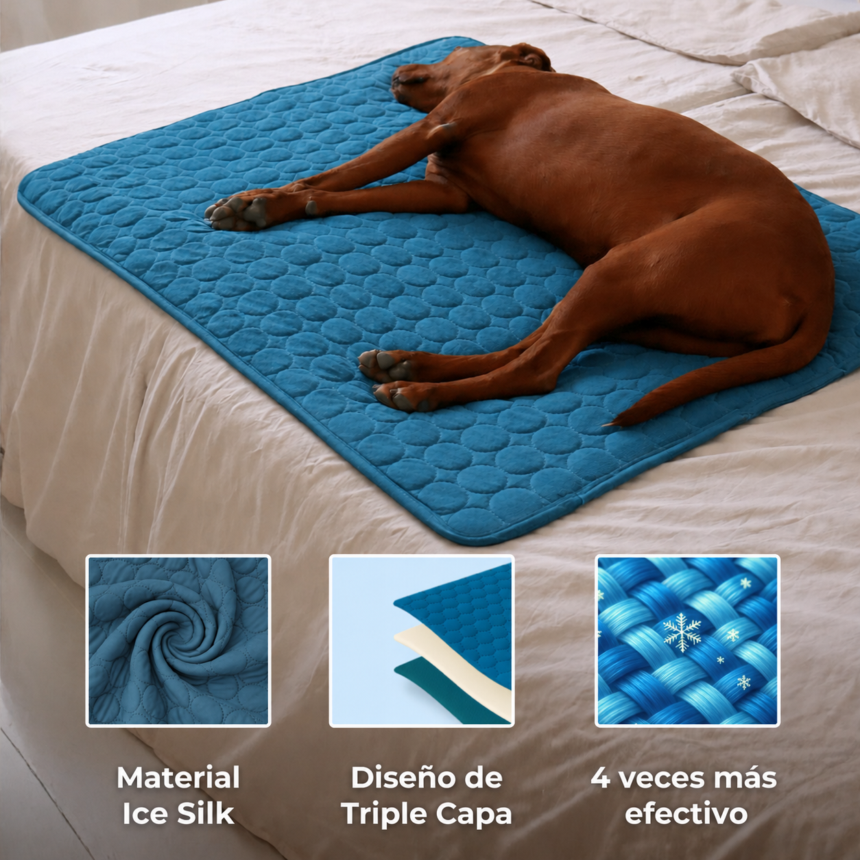 Pawfrost Mat