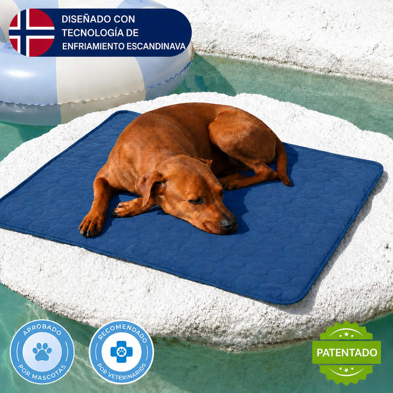 Pawfrost Mat