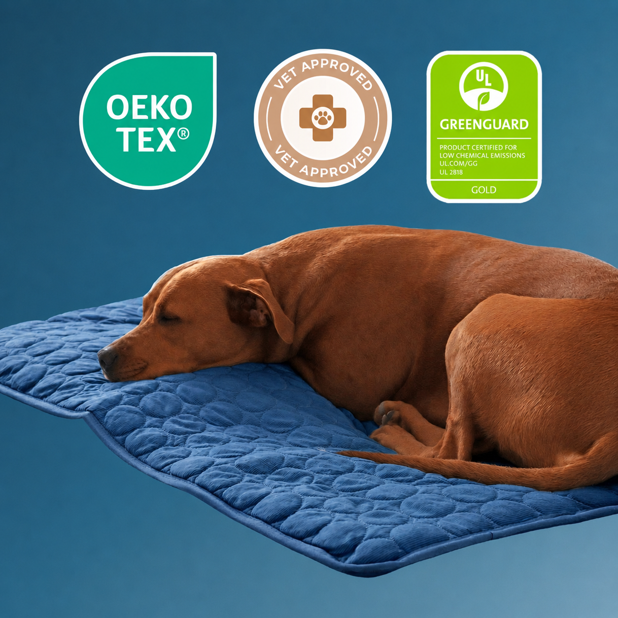 Pawfrost Mat